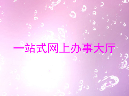 一站式网上办事大厅