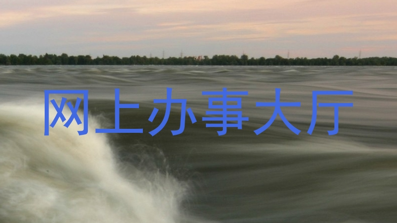 网上办事大厅