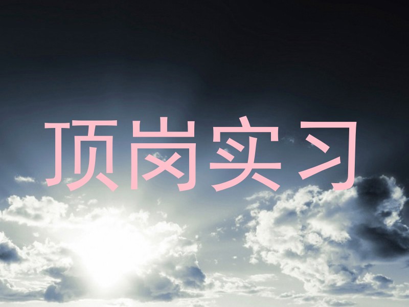 顶岗实习