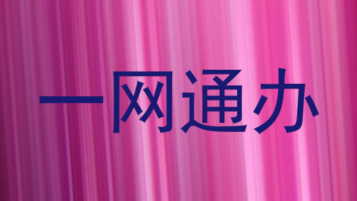 一网通办
