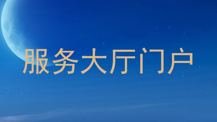 服务大厅门户