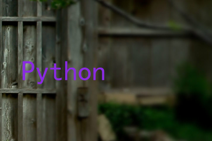 Python