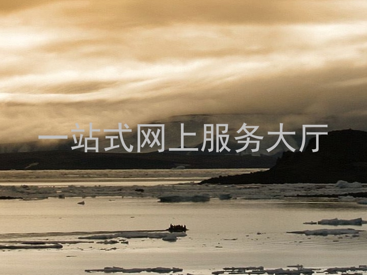一站式网上服务大厅