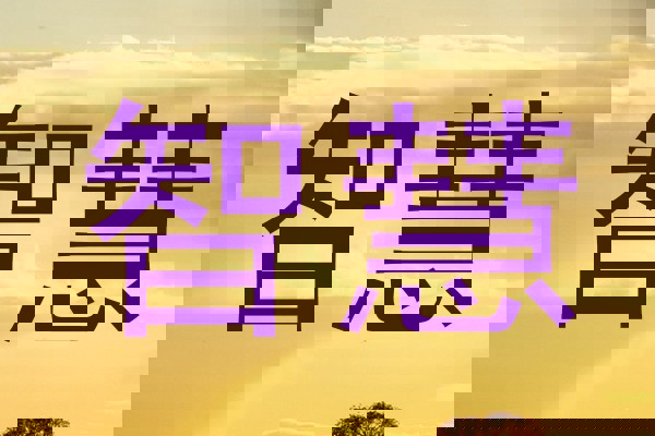 智慧