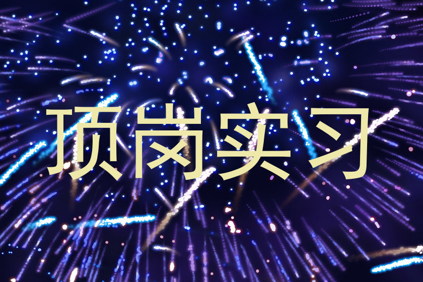 顶岗实习