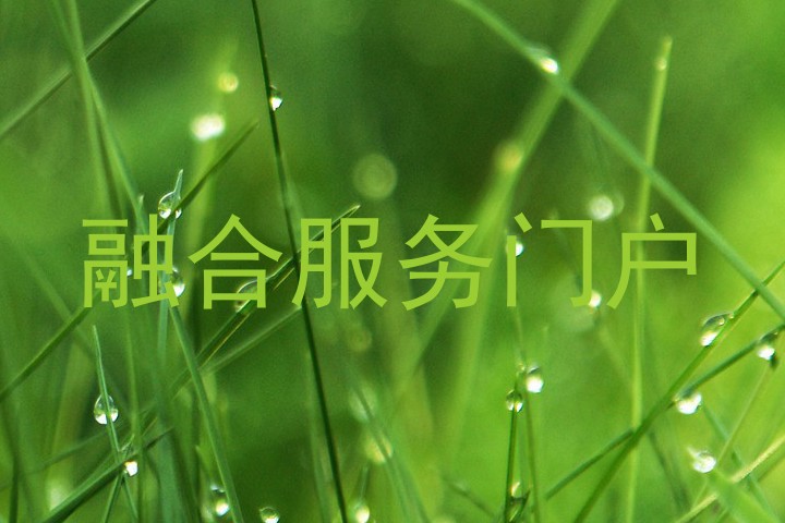 融合服务门户
