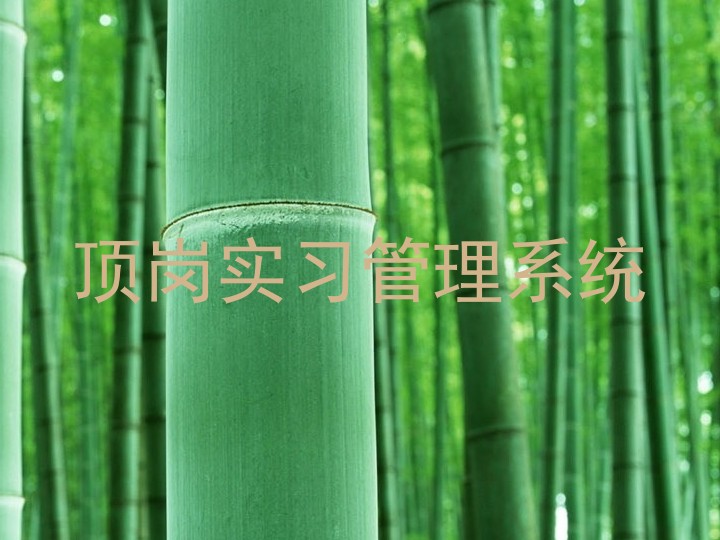 顶岗实习管理系统