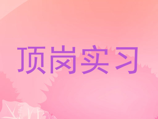 顶岗实习