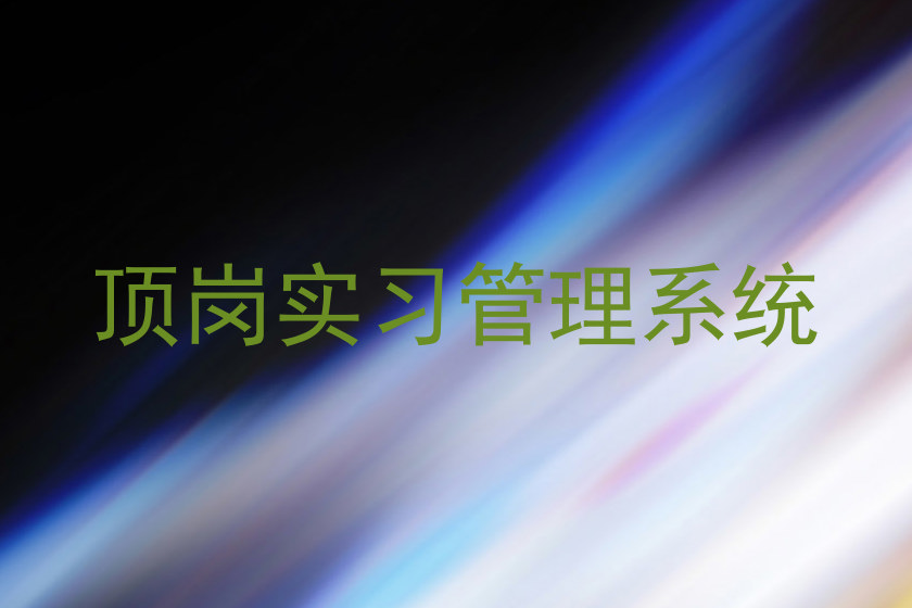 顶岗实习管理系统