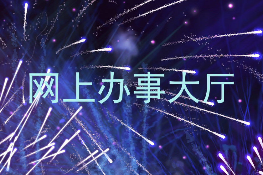 网上办事大厅