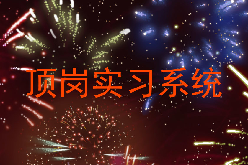 顶岗实习系统