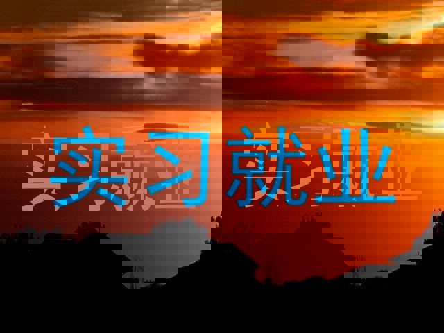 实习就业