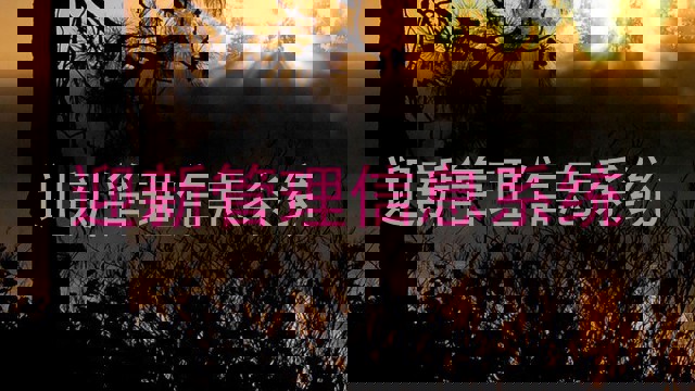 迎新管理信息系统