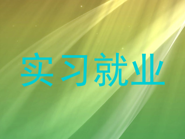 实习就业