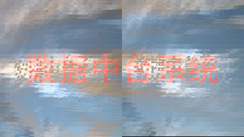 数据中台系统