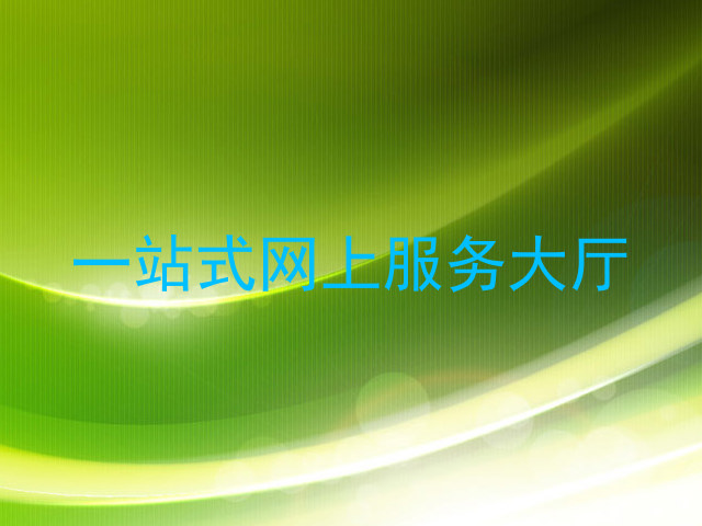 一站式网上服务大厅