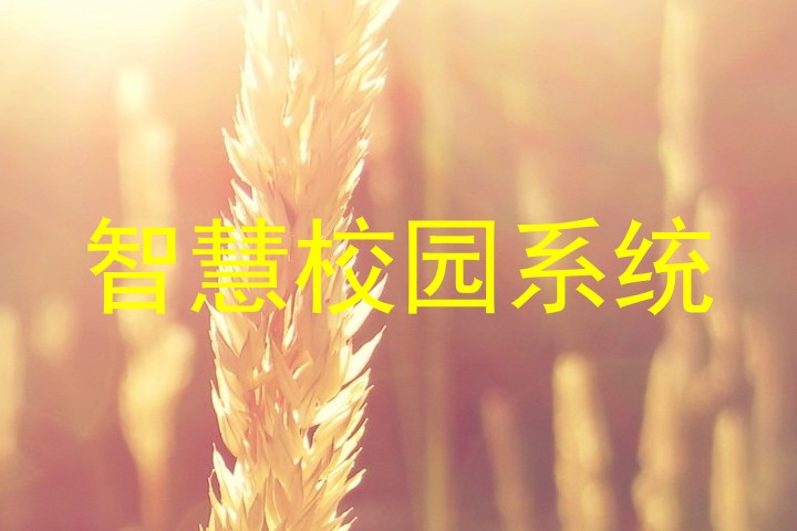 智慧校园系统