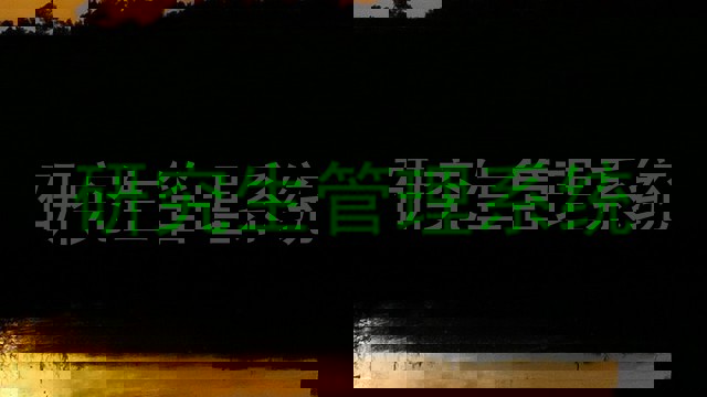 研究生管理系统
