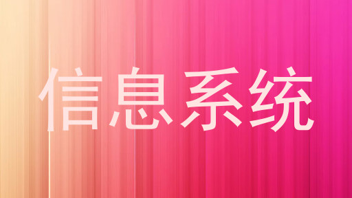 信息系统