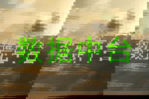 数据中台