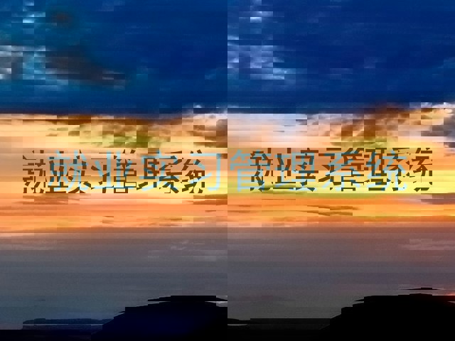 就业实习管理系统