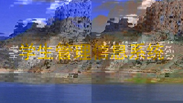 学生管理信息系统