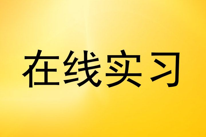 在线实习