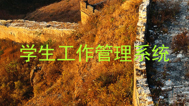 学生工作管理系统