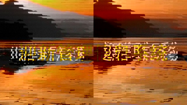 迎新管理信息系统