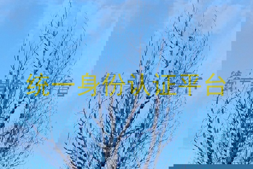 统一身份认证平台