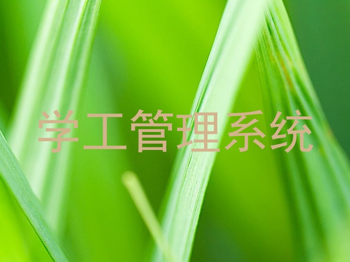 学工管理系统