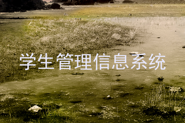 学生管理信息系统