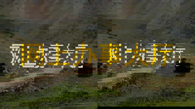 网上办事大厅