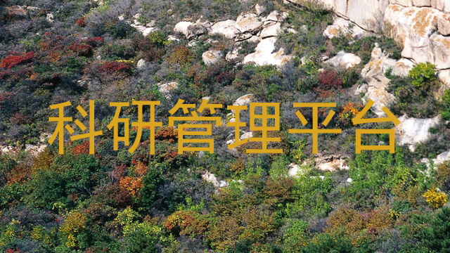 科研管理平台