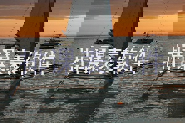 排课表软件
