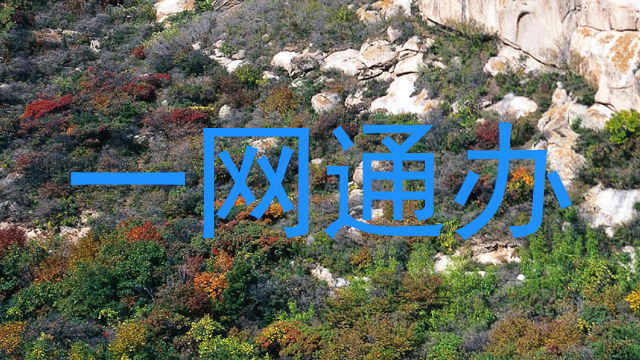 一网通办