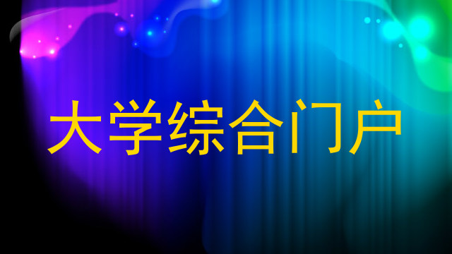 大学综合门户