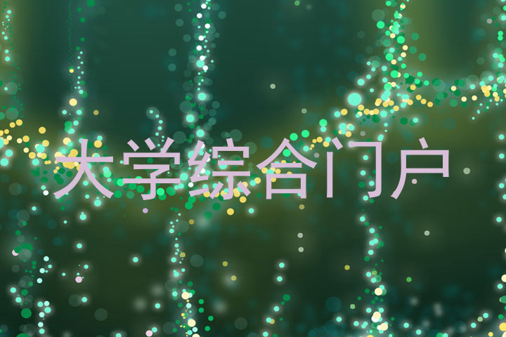 大学综合门户