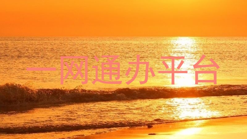 一网通办平台