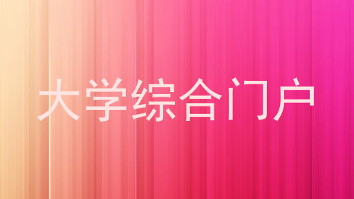 大学综合门户
