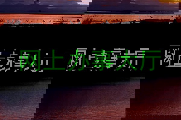 网上办事大厅