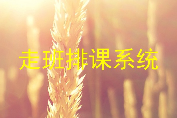 走班排课系统
