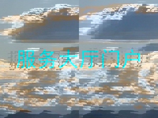 服务大厅门户