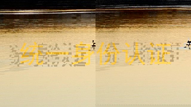 统一身份认证