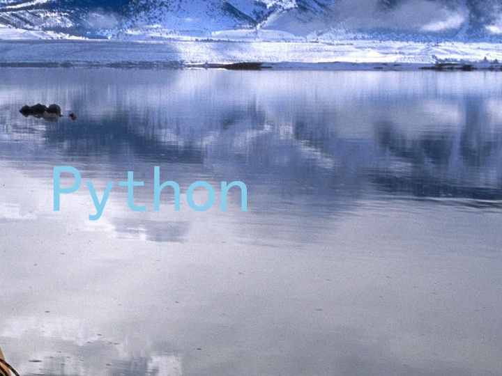 Python