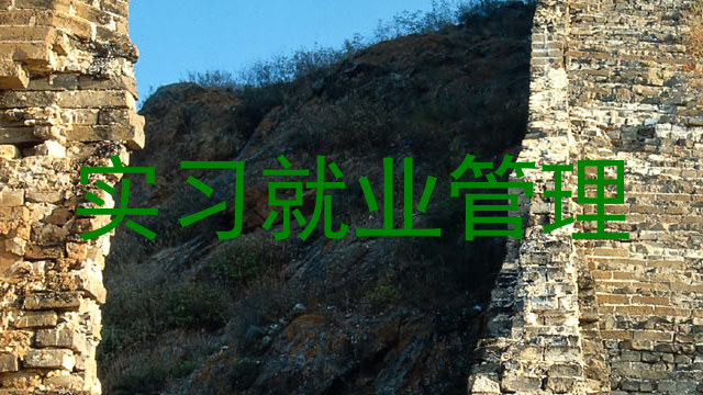 实习就业管理