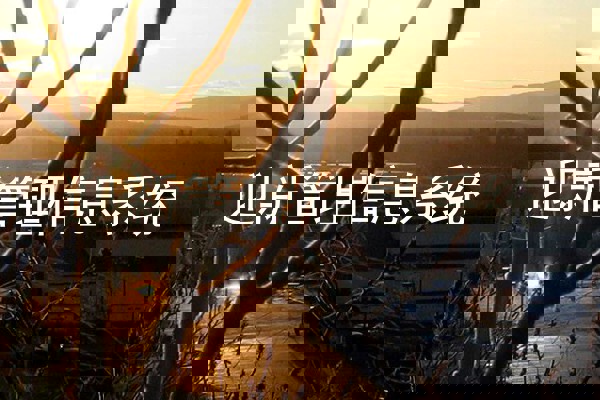 迎新管理信息系统