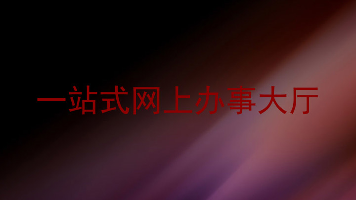 一站式网上办事大厅