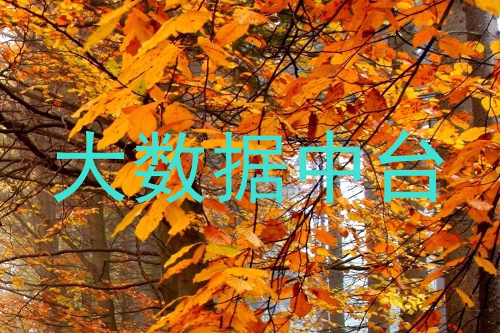 大数据中台