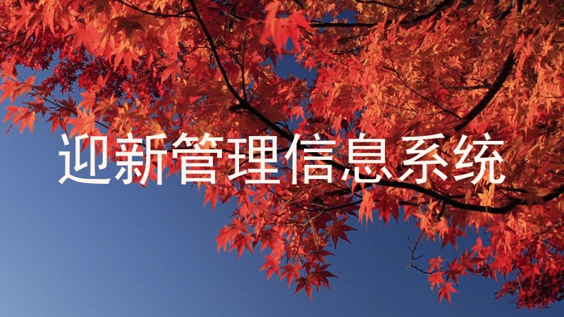 迎新管理信息系统